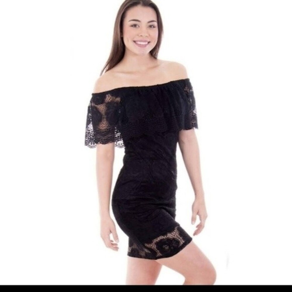 Rose Petals And Lace Black Mini Dress L
